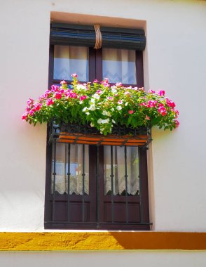 Balkon ve çiçekli tipik Endülüs penceresi