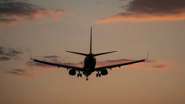 Plane landing in a sunset — Stock Photo, Image