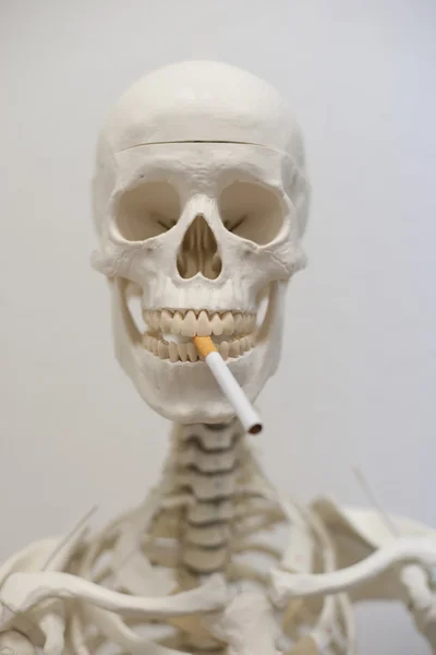 Scull humano com cigarro Fumo em branco — Fotografia de Stock