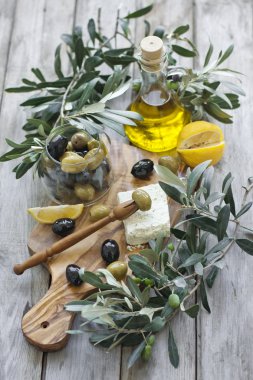 Zeytin zeytinyağı bir
