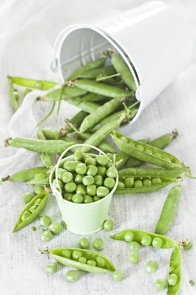 Green pea in the buckets — Stock Photo, Image