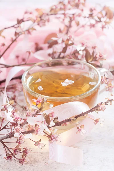 Green tea and pink blossom brunch — Stock Photo, Image