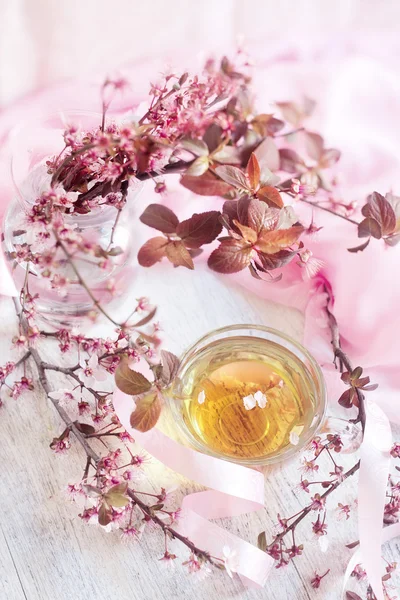 Green tea and pink blossom brunch — Stock Photo, Image