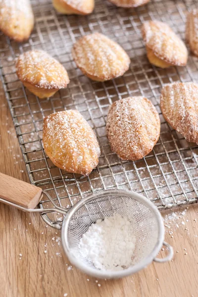 Madeleines — Stockfoto