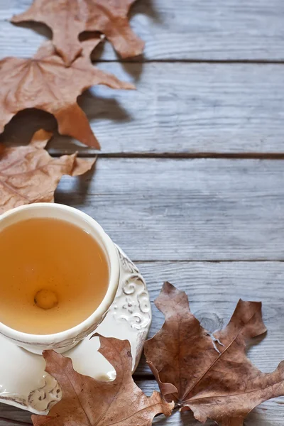 Autumn tea background — Stock Photo, Image