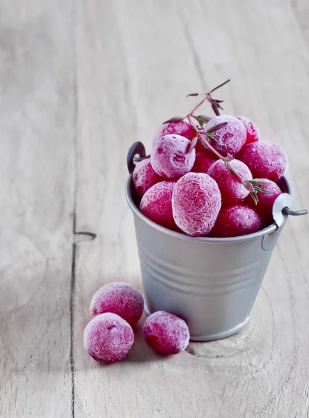 Frozen cranberry — Stock Photo, Image