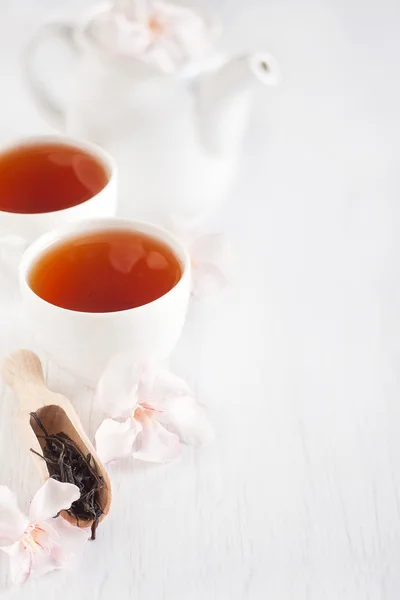 Oolong te bakgrund — Stockfoto