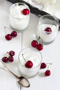 ev yapımı dondurma