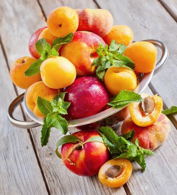 kayısı, nektarin ve Satürn şeftali
