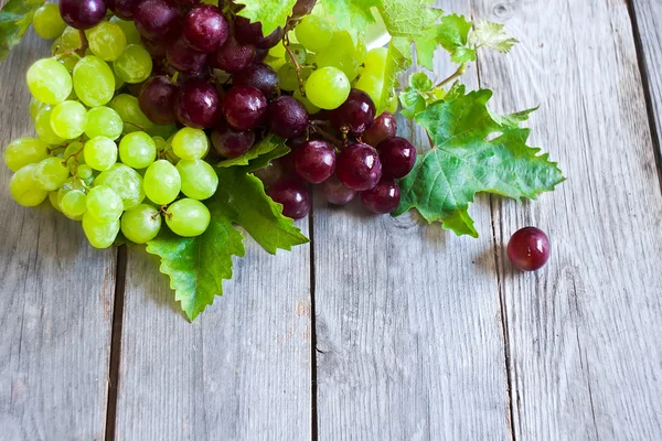 Green and red grape background — Stock Photo, Image