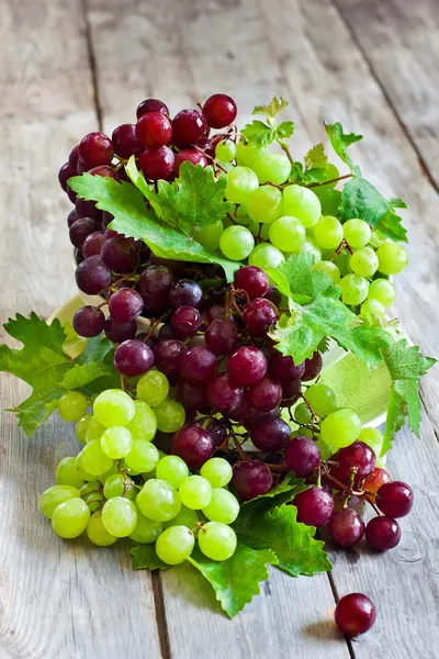 Green and red grape — Stock Photo, Image