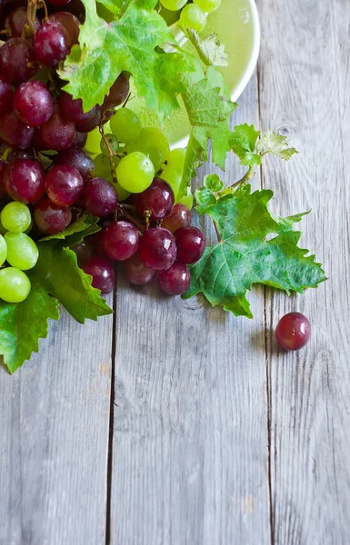 Green and red grape background — Stock Photo, Image