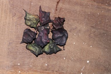 Ayrıca su kestanesi, bufalo fındığı, yarasa fındığı, şeytan kapsülü, ling fındığı, ling kok, ling jow, ling kio nut, ling kio nut, bıyık fındığı veya Singhada olarak da bilinir..