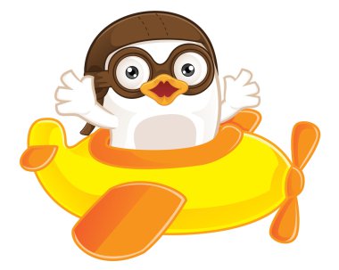 Beyaz kuş pilot düzlemdeki