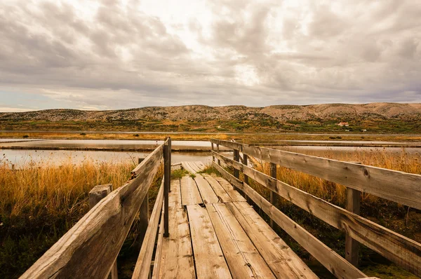 Wood boardwalk leading to a saline — Stock Photo, Image