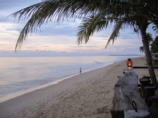 Strandbar met palmboom bij zonsondergang — Stockfoto