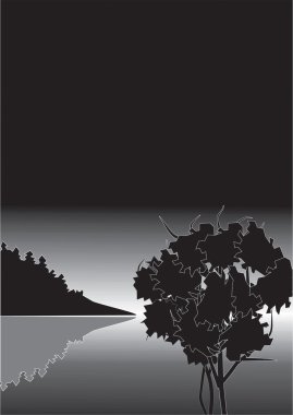 Arka plandaki ağaç Gece gökyüzü