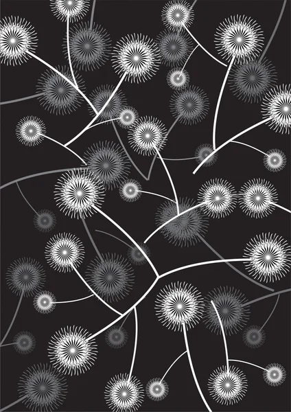 siyah zemin üzerine beyaz dandelions
