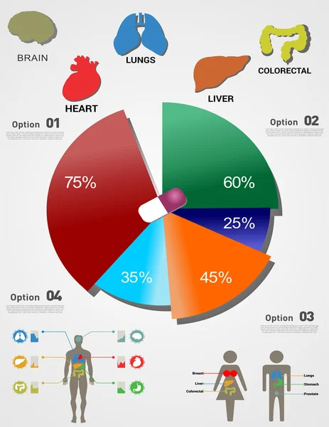 El círculo se divide en partes con cuerpos alrededor — Vector de stock