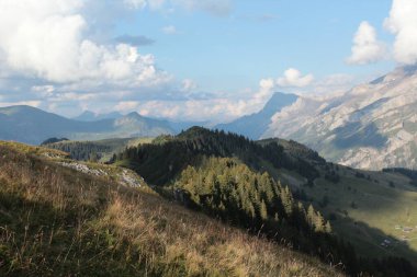 Alp manzaralı yaz mevsiminde orman sırtı