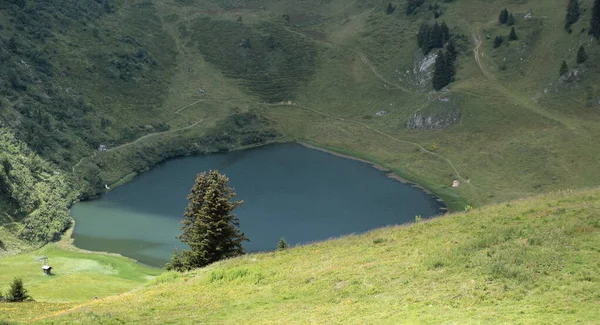 Vue Sur Lac Alpin Été — Photo