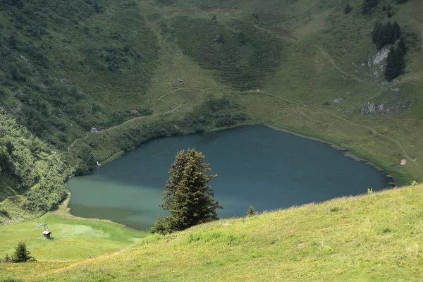 Vue Sur Lac Alpin Été — Photo