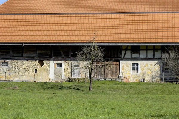 Meadow Tree Front Farm House — Zdjęcie stockowe