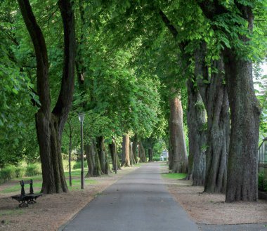 Yaya bölgesindeki bir ara yol manzarası