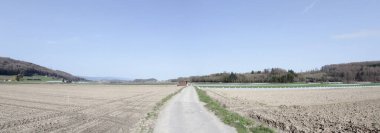 Bir tarlanın manzarası