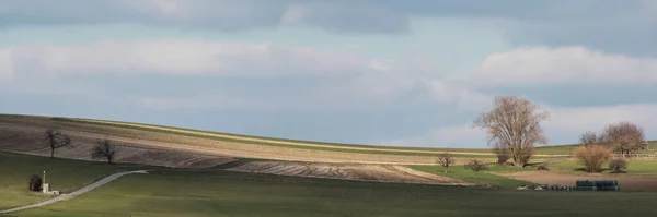 Agricultural Rural Scenery Trees — Fotografia de Stock