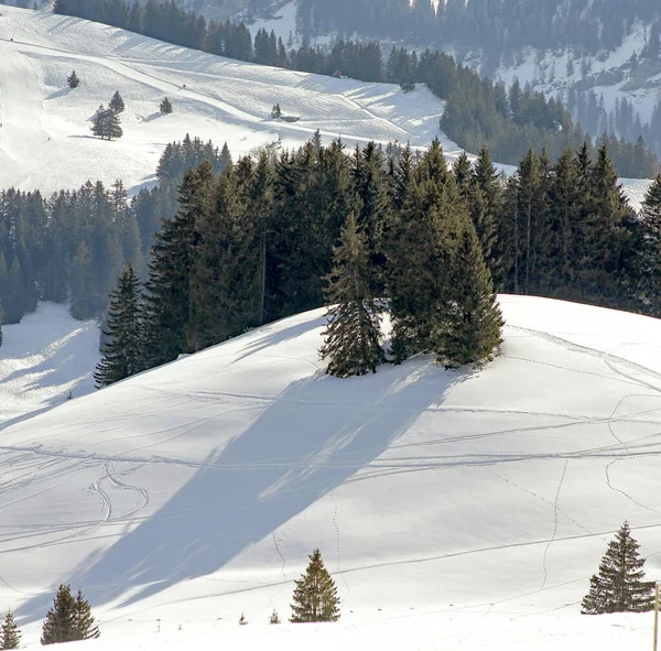 Alpine Scene Winter — Stockfoto