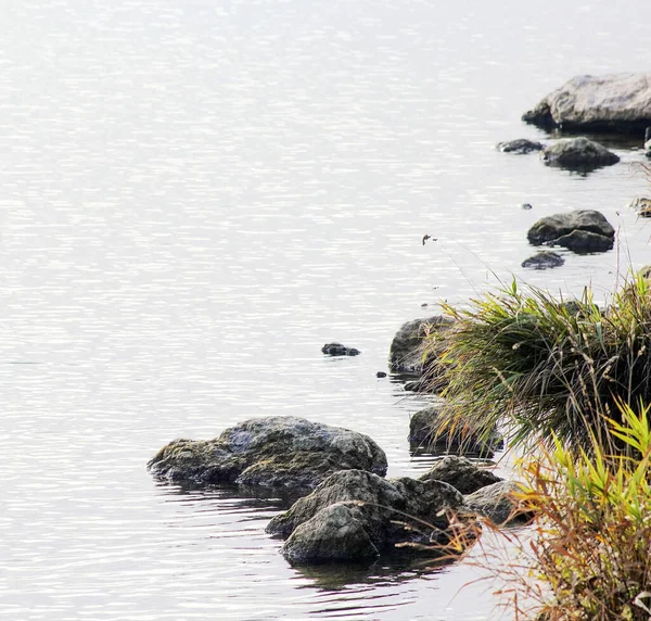 Array Stones Lakeshore — Stock Photo, Image