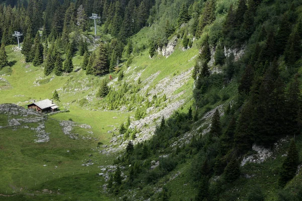 Een Alpine Landschap Zomer — Stockfoto