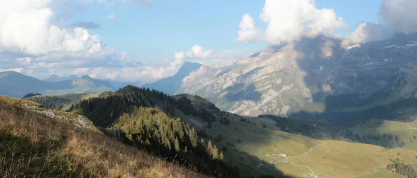 Alpine Panorama View Forest Ridge Summer — Stockfoto
