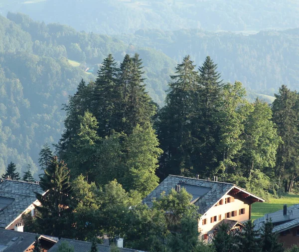 Alpine Houses Forest Trees Summer — Stockfoto