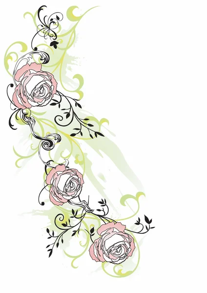 Roses — Stock Vector