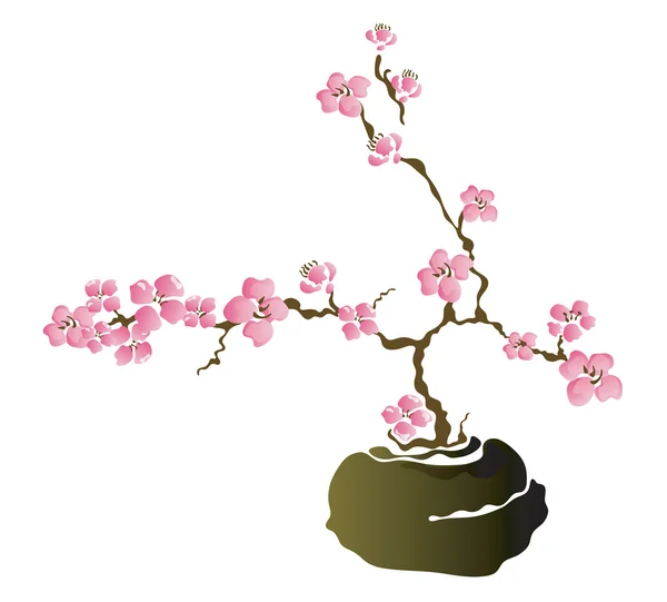Árbol de Bonsai — Vector de stock