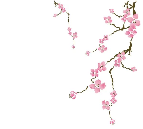 桜 — ストックベクタ