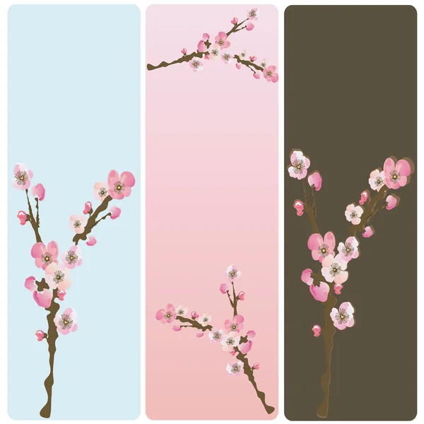 Floral banners — Stock Vector