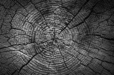 koyu ahşap arka plan