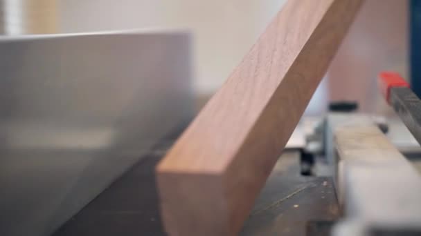 Αυτοκόλλητος ξυλουργός σε προστατευτικά αυτιών που συγκρατεί στα χέρια ανοιχτή καφέ ξύλινη σανίδα λειασμένη με βαριά μηχανή λείανσης σε παλιό εργαστήριο, τεχνίτης που δείχνει έτοιμη γυαλισμένη επιφάνεια σανίδας στην κάμερα. Τεχνίτης — Αρχείο Βίντεο
