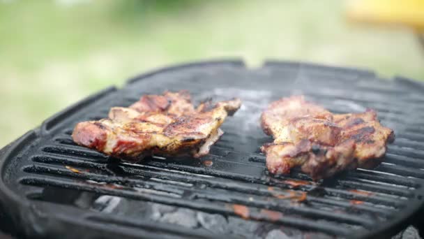 Vysoce kvalitní masové steaky pečené na grilu BBQ na podpalování ohně a kouření uhlí, šťavnaté steaky grilování na oslavu grilování venku. Grilovací piknik s pečenými masovými steaky — Stock video