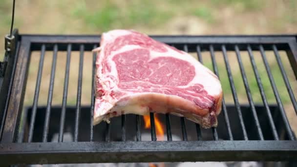 Raw ribeye steak pečený na grilu na hořících žhavých uhlících, kvalitní masový steak bez koření pečený na grilu bbq, prémiový steak na piknikovém večírku