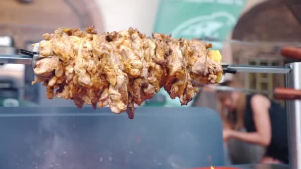 Soczyste kawałki asortymentu mięsnego pieczone na obracających się szaszłykach grillowych nad palącym się ogniem, przyprawione kawałki mięsa wieprzowego obracające się w ogniu i opadające. Tłuste mięso przygotowujące się do pikniku przy grillu — Wideo stockowe