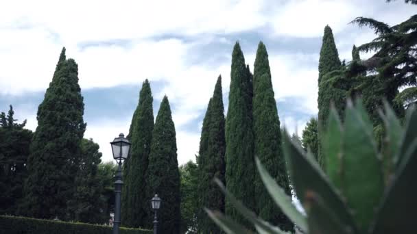 Majestätiska vintergröna cypressträd dekorera berömda italienska privata Villa på molnet himmel bakgrund, fantastisk panorama med höga cypresser träd, trimmade buskar och svarta eleganta gatlyktor. Berömd — Stockvideo