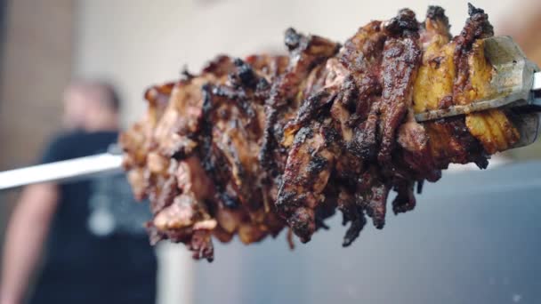 Seasoned Meat Delicacy Roasting Fire Juicy Pork Pieces Rotating Skewer — Vídeo de Stock