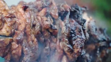 Sulu et dilimlerinin şişte dönüşümlü ve barbekü ateşinde kızarırken, yağlı yağın kömürde kızarırken yakın plan çekimi. Hafta sonu pikniğinde geleneksel bbq ızgarası. Yüksek kalite