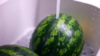 Striped ripe watermelons inside the kitchen sink under the water flowing, process of washing and disinfecting watermelon fruits before eating. Removing microbes and chemical impurities from the