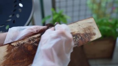 Woodman in gloves applying oil-based brown colour tint on wood plank surface, carpenter staining wood product for protection from weather deformation. Processing and painting wood, joiner varnishing