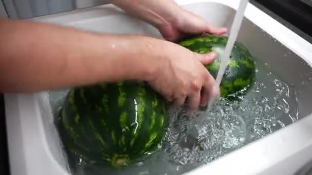 Careful Washing Ripe Watermelons Kitchen Sink Water Flowing Process Washing — Stockvideo